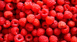 raspberry